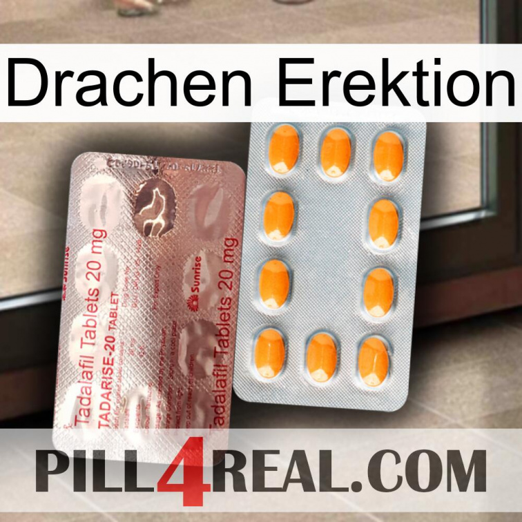 Dragon Erection new13